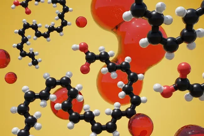 DHA Omega-3 for brain performance support